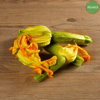Zucchine chiare con fiore Organic