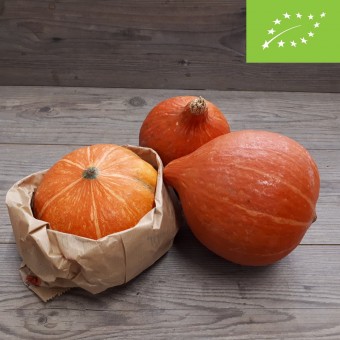 Zucca Hokkaido BIO
