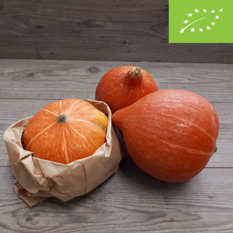 Zucca Hokkaido BIO