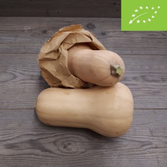 Zucca Butternut BIO