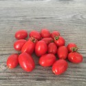 Pomodori Datterino