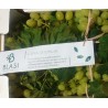 Uva Italia Organic - L'Uva di Emilia