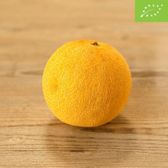 Melone Galia BIO