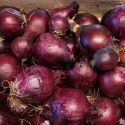 Cipolla Rossa Biodinamica - Dario Specchia
