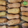 Zucca Violina Rugosa - Tenute Gervasi Agricoltura Naturale
