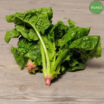 Spinaci Organic