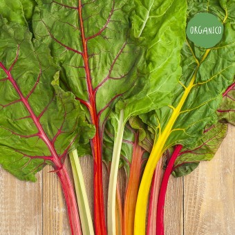 Biete a Coste Colorate Organic