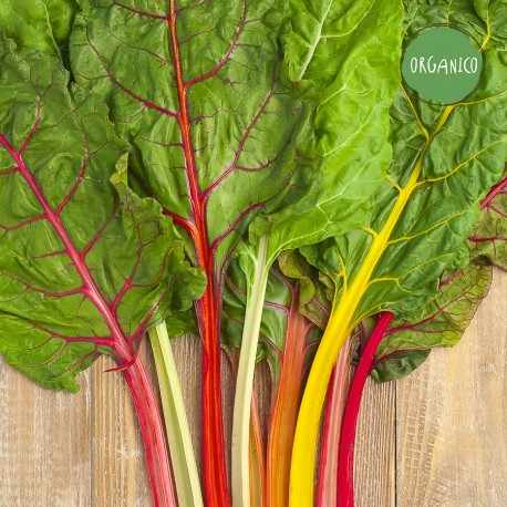 Biete a Coste Colorate Organic