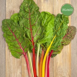 Biete a Coste Colorate Organic