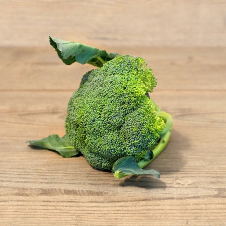 Broccoli ORGANIC