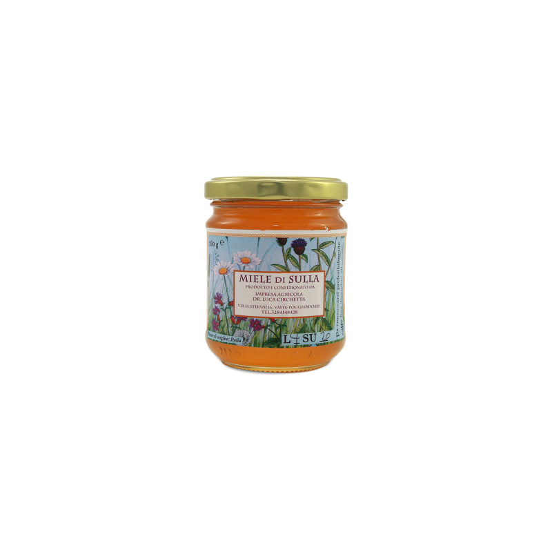 Miele di Sulla - 500 g - Apicoltura Impresa agricola dott. Luca Circhetta