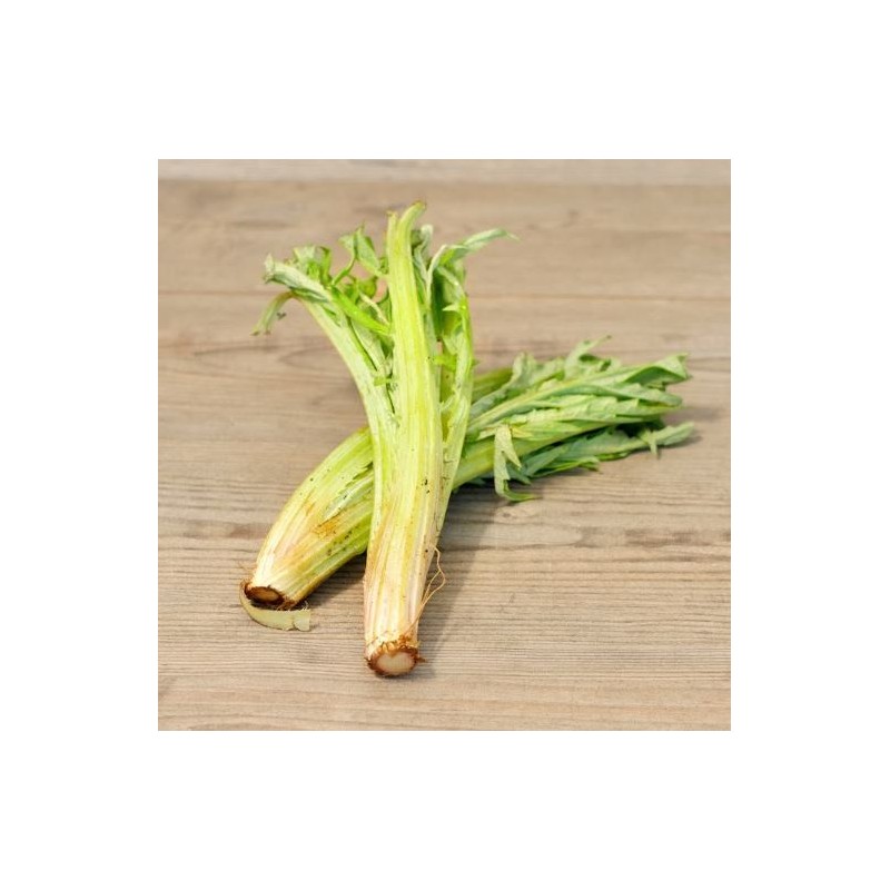 Cardo Comune Organico Naturale - La Rusciulara - 1 kg