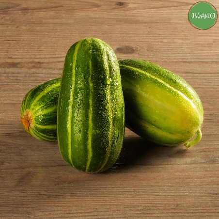 Meloncelle Biodinamiche - 500 g - Dinamica Salentina