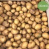 Patate Novelle Nicola Biodinamiche - Azienda Biodinamica Dario Specchia