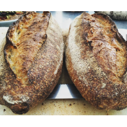 Pane SeSaSa "Segale-Saragolla-Saraceno" - 500 g - Settecroste Lab