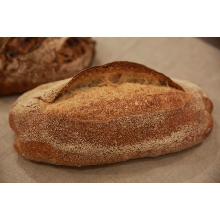 Pane SeSaSa "Segale-Saragolla-Saraceno" - 500 g - Settecroste Lab