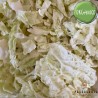 I Mondati: Cavolo Verza (Riccia) Biologica - 300 g - La Rusciulara