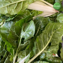 biete organiche naturali