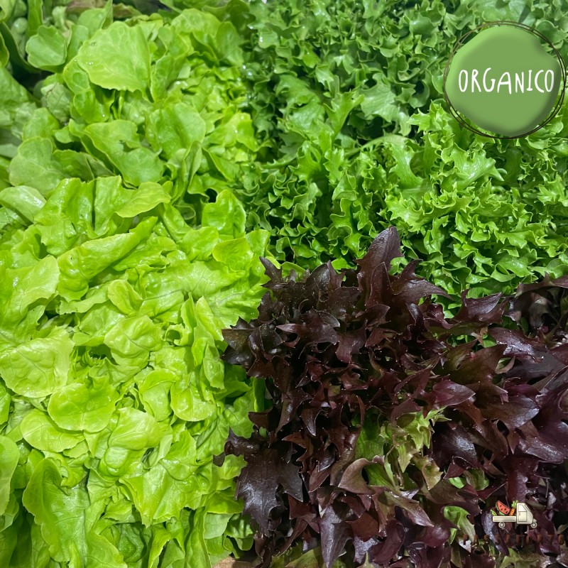 Le Insalate di Passalorto - Organiche Naturali - 500 g - Masseria Caggia