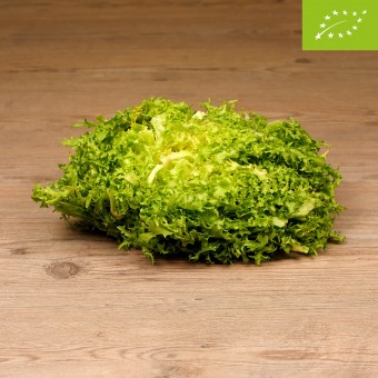 Insalata Riccia Organic -...