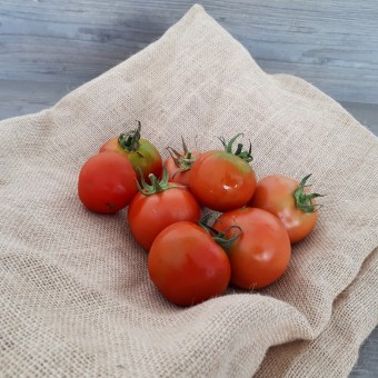 Pomodori Insalatari Organic