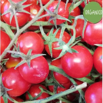 Pomodori Ciliegino - Azienda Agricola Calcagnile
