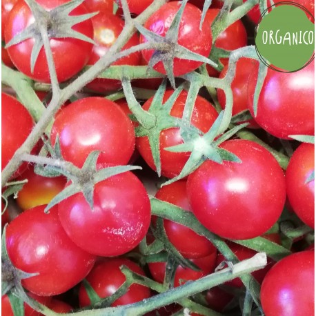 Pomodori Ciliegino - Azienda Agricola Calcagnile