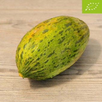 Melone Verde d'Inverno