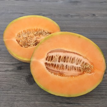 Melone Cantalupo