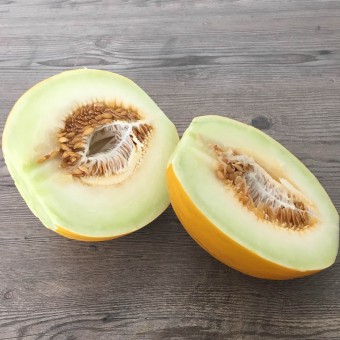Melone Gialletto BIO