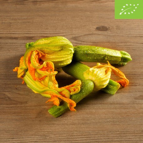 Zucchine chiare con fiore BIO Zucchine chiare con fiore BIO